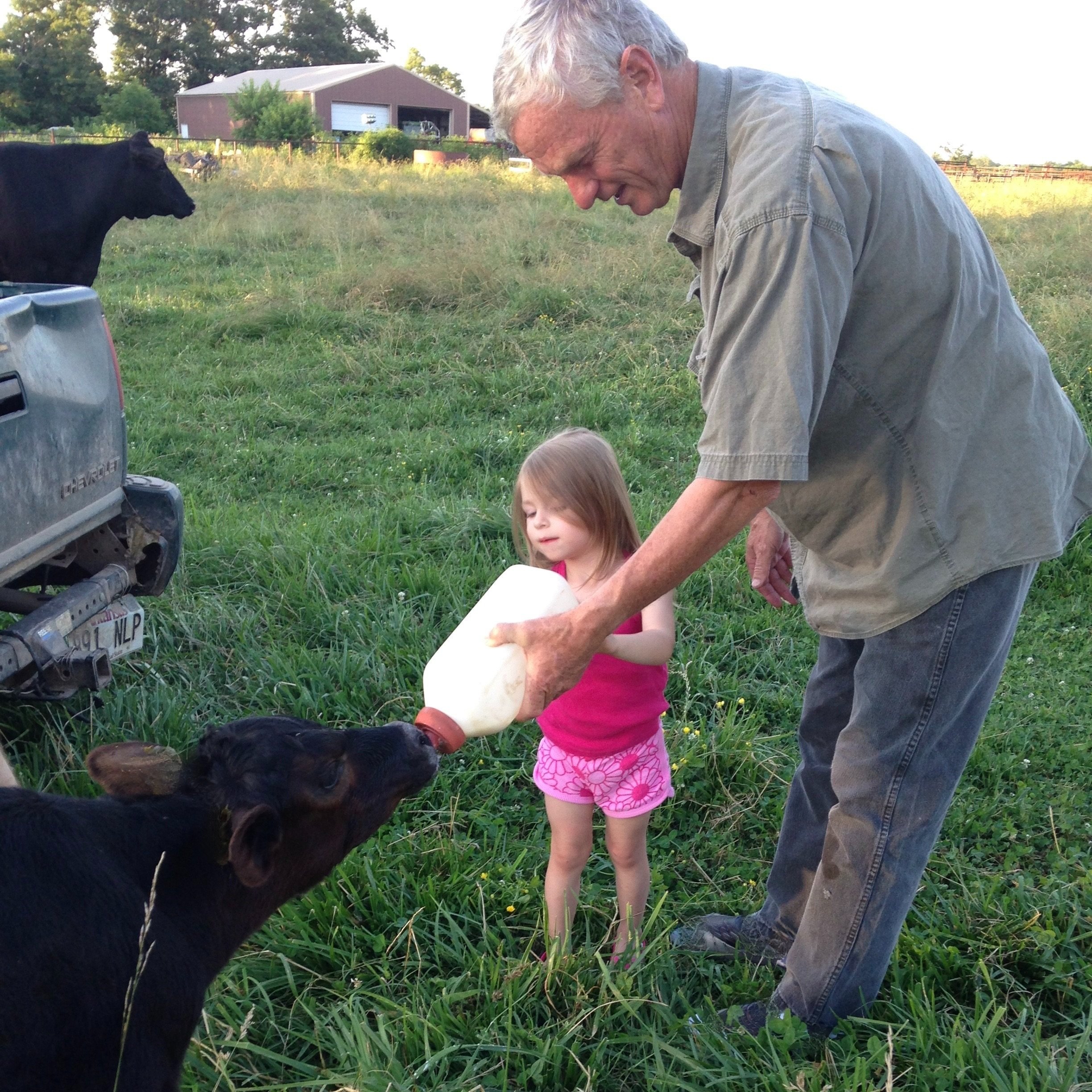 Woman in a plaid shirt kneeling in a field surrounded by free-range chickens, engaging in poultry care on a farm.